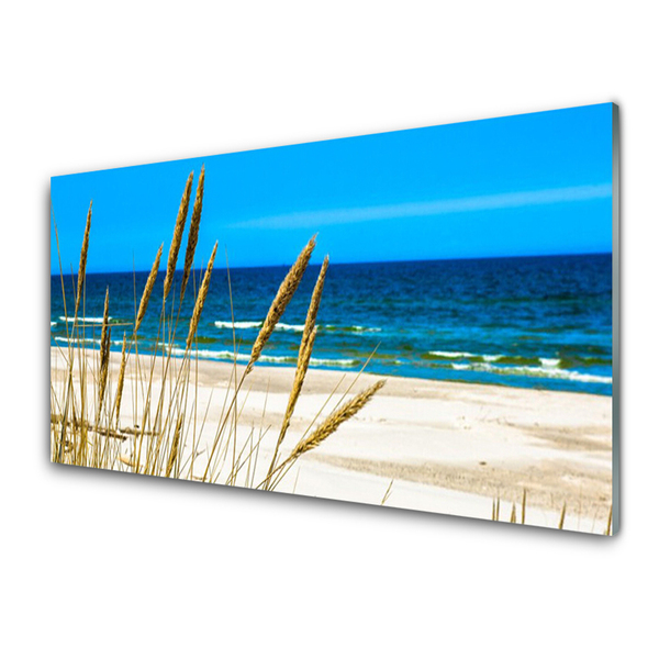 Glasbilder Meer Strand Landschaft