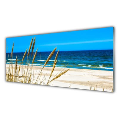 Glasbilder Meer Strand Landschaft