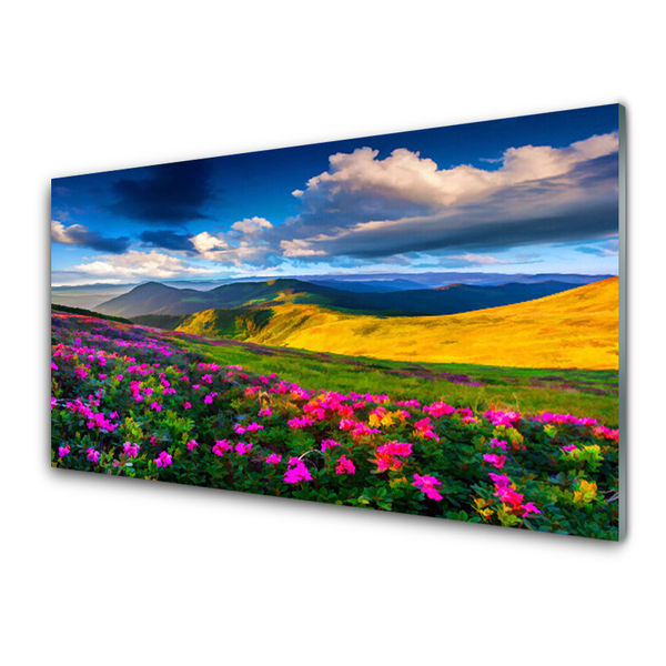 Glasbilder Wiese Blumen Natur