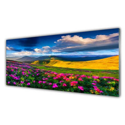 Glasbilder Wiese Blumen Natur