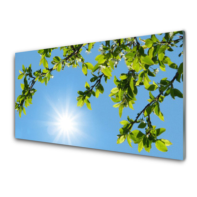 Glasbilder Sonne Natur