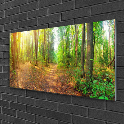 Glasbilder Wald Natur