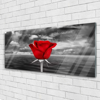 Glasbilder Rose Pflanzen