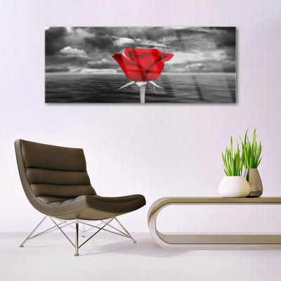Glasbilder Rose Pflanzen