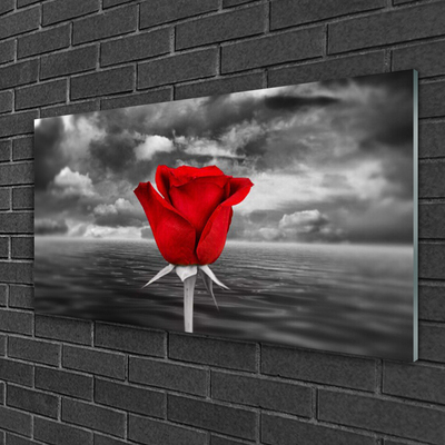Glasbilder Rose Pflanzen
