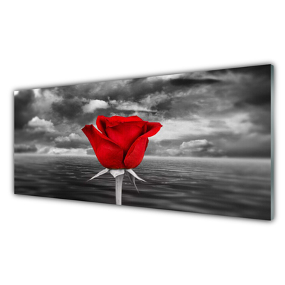 Glasbilder Rose Pflanzen