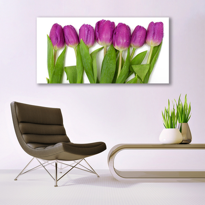 Glasbilder Tulpen Pflanzen