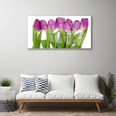 Glasbilder Tulpen Pflanzen