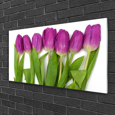 Glasbilder Tulpen Pflanzen