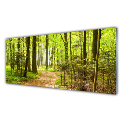 Glasbilder Wald Natur