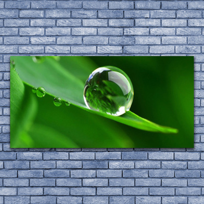 Glasbilder Blatt Wassertropfen Pflanzen