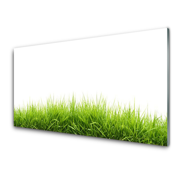 Glasbilder Gras Natur