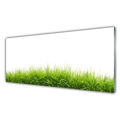 Glasbilder Gras Natur