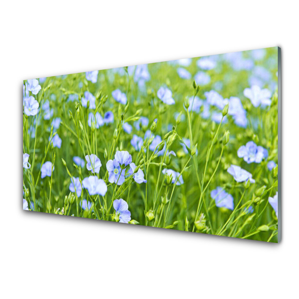 Glasbilder Blumen Gras Natur