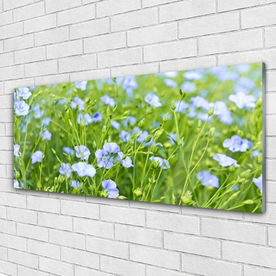 Glasbilder Blumen Gras Natur