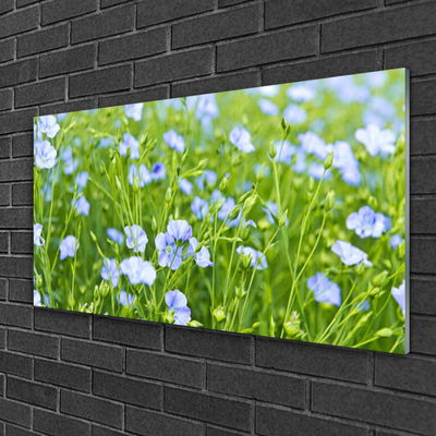 Glasbilder Blumen Gras Natur