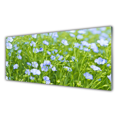 Glasbilder Blumen Gras Natur