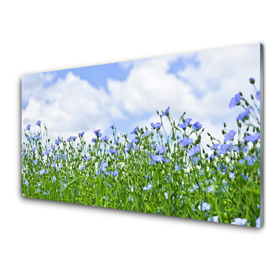 Glasbilder Blumen Natur