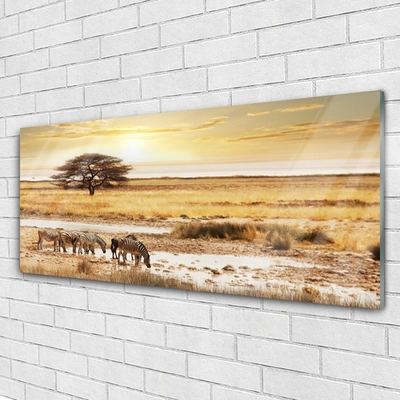 Glasbilder Wüste Landschaft