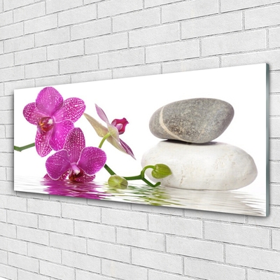 Glasbilder Blumen Steine Kunst