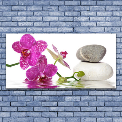 Glasbilder Blumen Steine Kunst