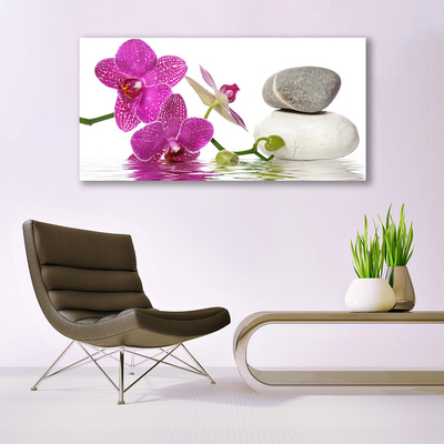 Glasbilder Blumen Steine Kunst