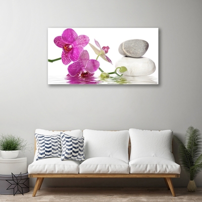 Glasbilder Blumen Steine Kunst