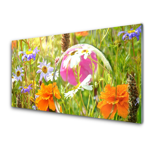 Glasbilder Blumen Natur