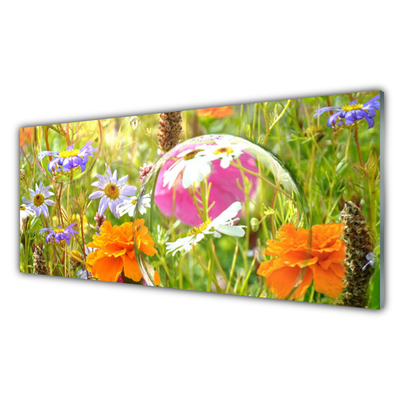 Glasbilder Blumen Natur