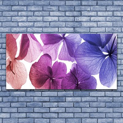 Glasbilder Blumen Pflanzen