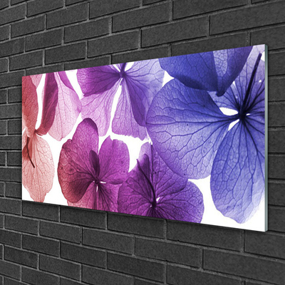 Glasbilder Blumen Pflanzen