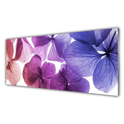 Glasbilder Blumen Pflanzen