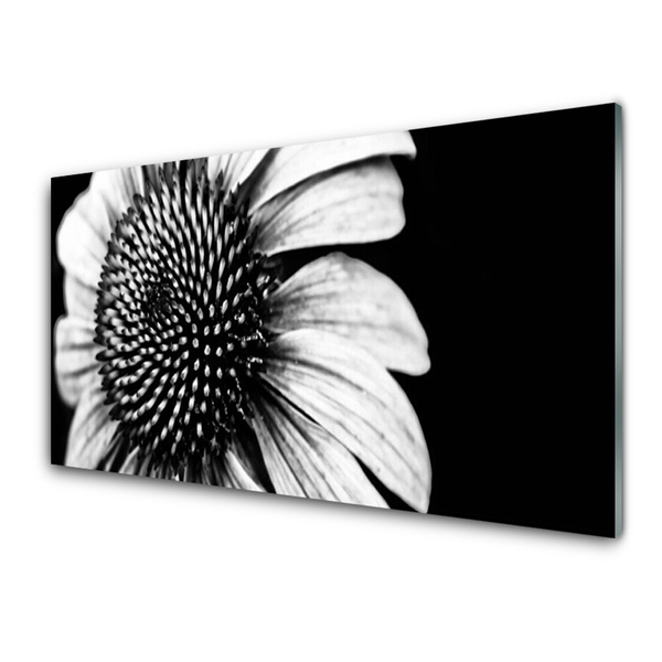 Glasbilder Blume Pflanzen