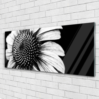 Glasbilder Blume Pflanzen