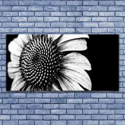 Glasbilder Blume Pflanzen