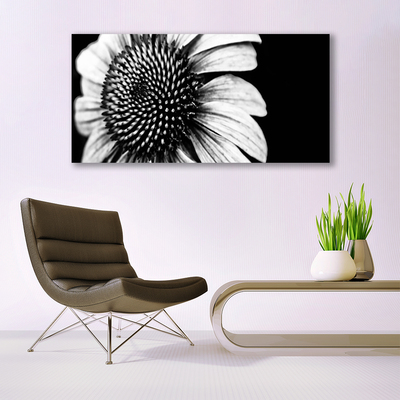 Glasbilder Blume Pflanzen