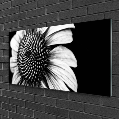 Glasbilder Blume Pflanzen