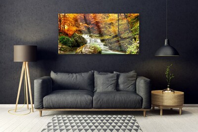 Glasbilder Wasserfall Wald Natur