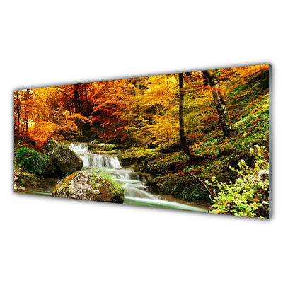 Glasbilder Wasserfall Wald Natur