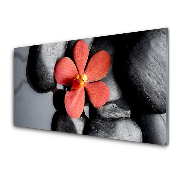Glasbilder Blume Steine Kunst