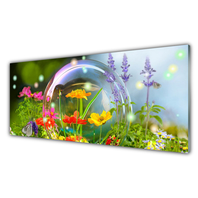 Glasbilder Blumen Natur