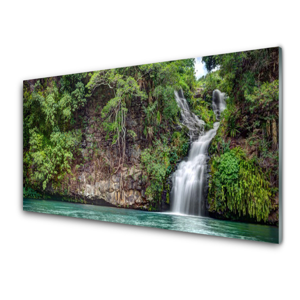 Glasbilder Wasserfall Fels Natur