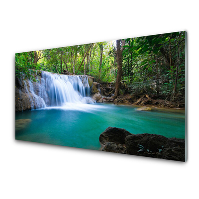 Glasbilder Wasserfall See Wald Natur