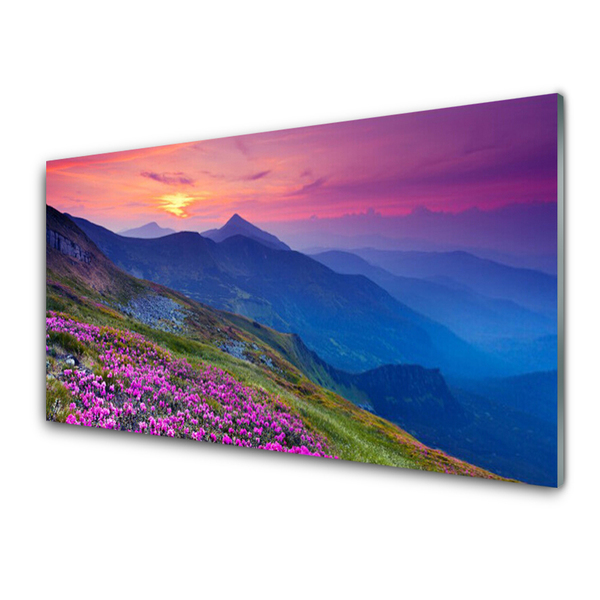 Glasbilder Gebirge Wiese Blumen Landschaft