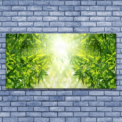 Glasbilder Blätter Natur