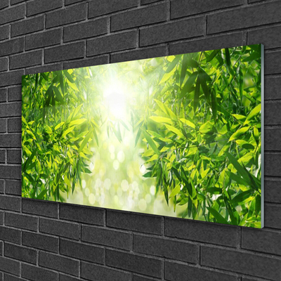 Glasbilder Blätter Natur