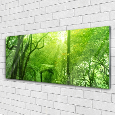 Glasbilder Bäume Natur