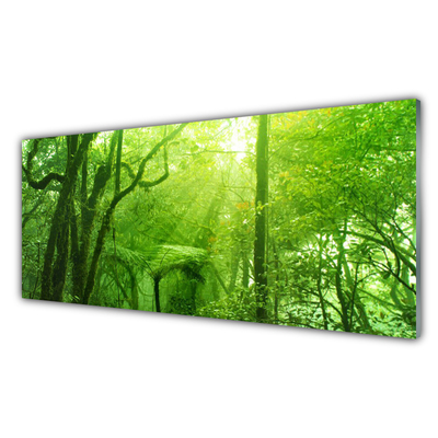 Glasbilder Bäume Natur