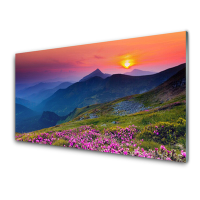 Glasbilder Gebirge Wiese Blumen Landschaft