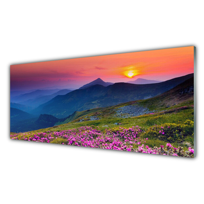 Glasbilder Gebirge Wiese Blumen Landschaft